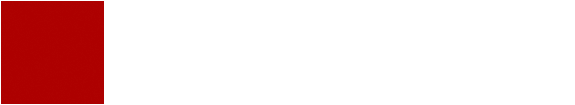 Professional Dev wordmark